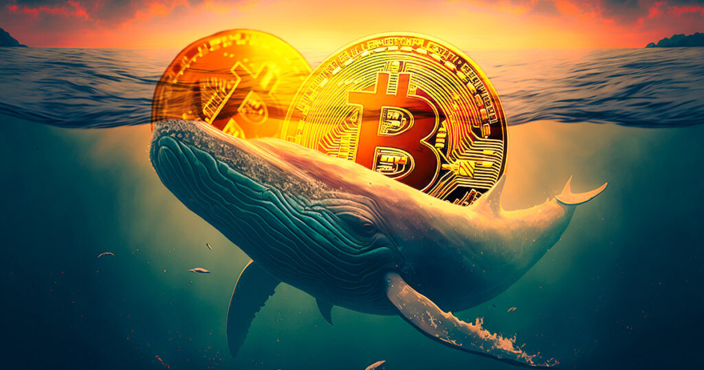 Bitcoin Whales Accumulate 266k BTC Since January