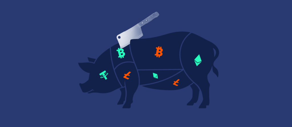 Pig Butchering Crypto Scams Wiped Out $3.6 Billion in 2024